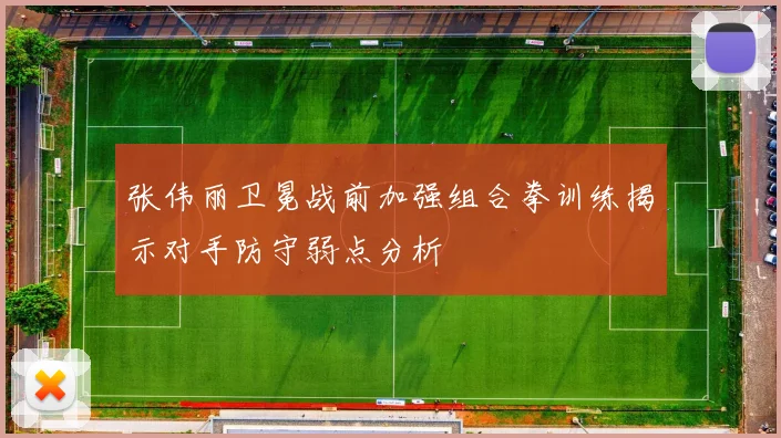 张伟丽卫冕战前加强组合拳训练揭示对手防守弱点分析