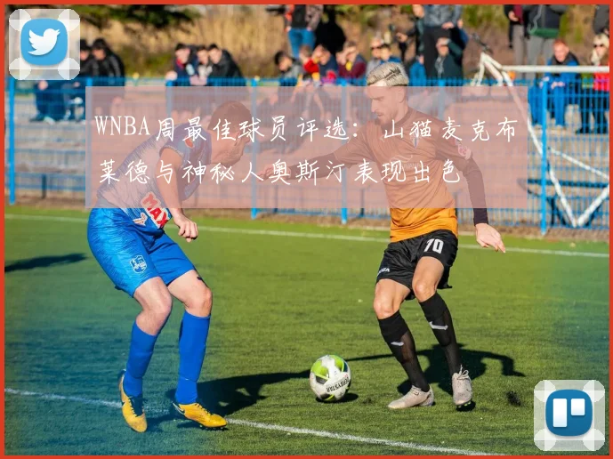 WNBA周最佳球员评选：山猫麦克布莱德与神秘人奥斯汀表现出色